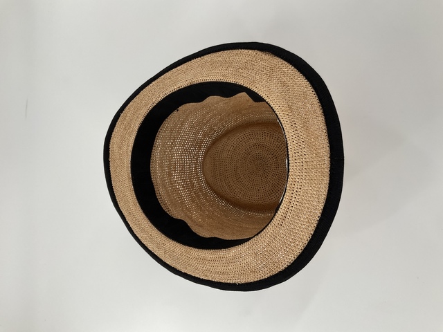 Raffia Thin Hat-3