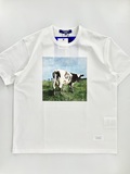 ［JUNYA WATANABE MAN］T-SHIRT (Pink Floyd)-1