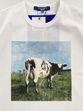 ［JUNYA WATANABE MAN］T-SHIRT (Pink Floyd)-3